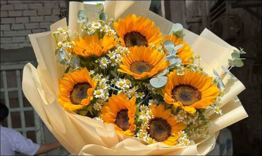Hoa hướng dương đẹp, dành tặng đấng mày râu
