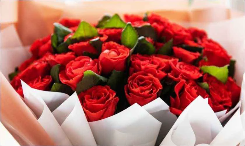 Hoa hồng tình yêu và sự trân trọng