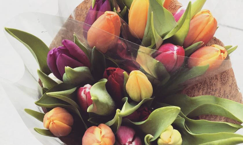 B&oacute; hoa đẹp nhất ng&agrave;y lễ t&igrave;nh y&ecirc;u