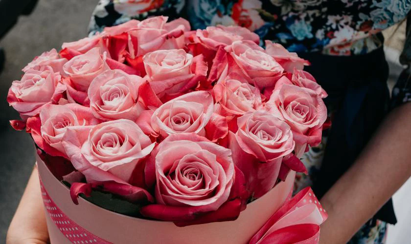 H&igrave;nh ảnh hoa Valentine đẹp nhất 2025