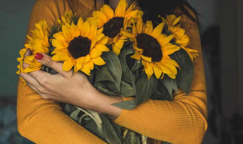 Hoa hướng dương tượng trưng cho niềm hạnh ph&uacute;c