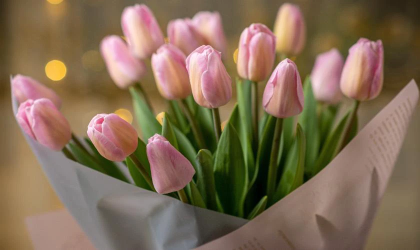 B&oacute; hoa Valentine đẹp nhất với hoa tulip