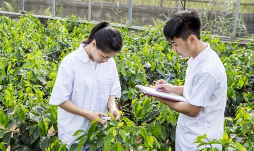 Lưu ý khi đóng học phí Học viện Nông nghiệp 2025