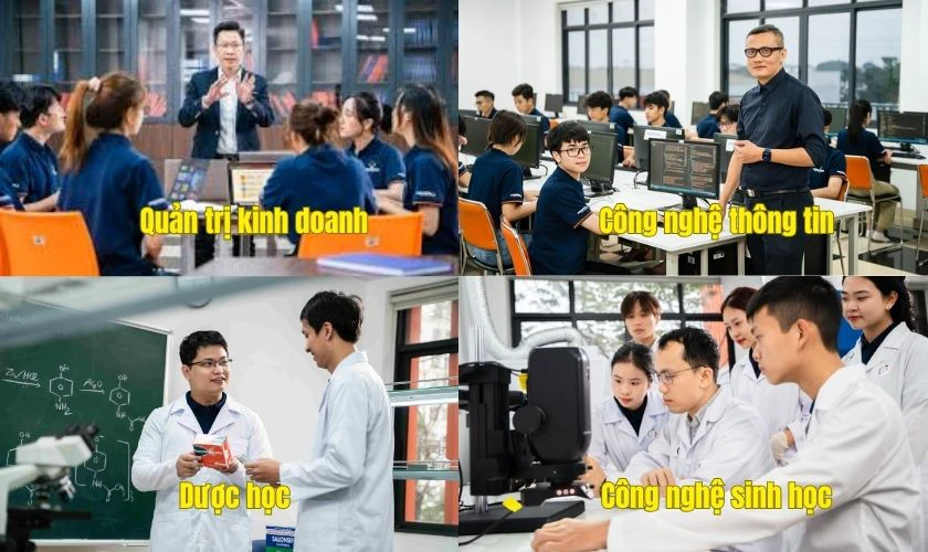 Phenikaa có các ngành học nào?
