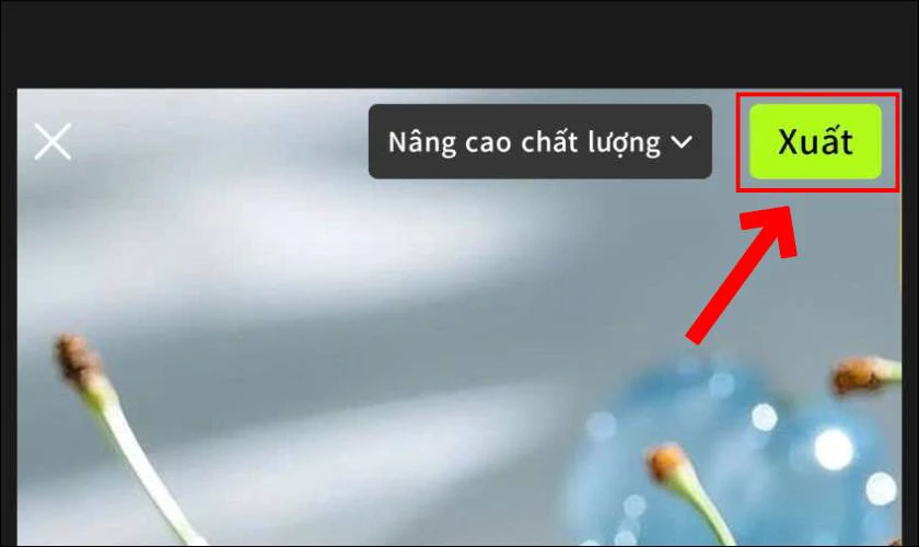 Tìm hiểu Hypic có phải Xingtu không