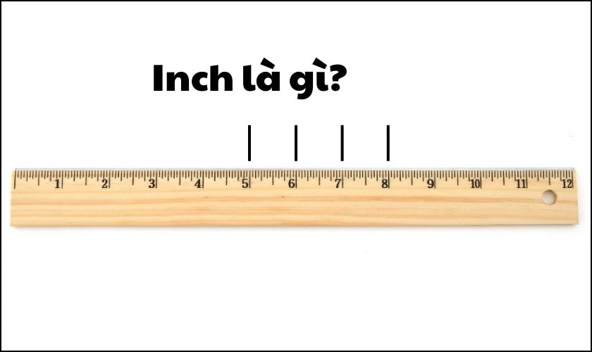 Inch là gì?