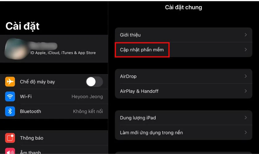Chọn mục Cập nhật phần mềm