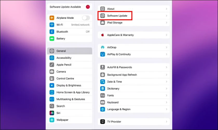 Chọn mục Cập nhật phần mềm