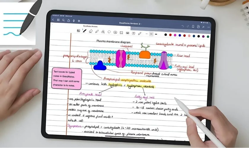 Hỗ trợ Apple Pencil để ghi chú, vẽ hình học