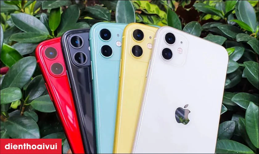 Những lưu ý khi mua iPhone 11 256GB - Cũ đẹp