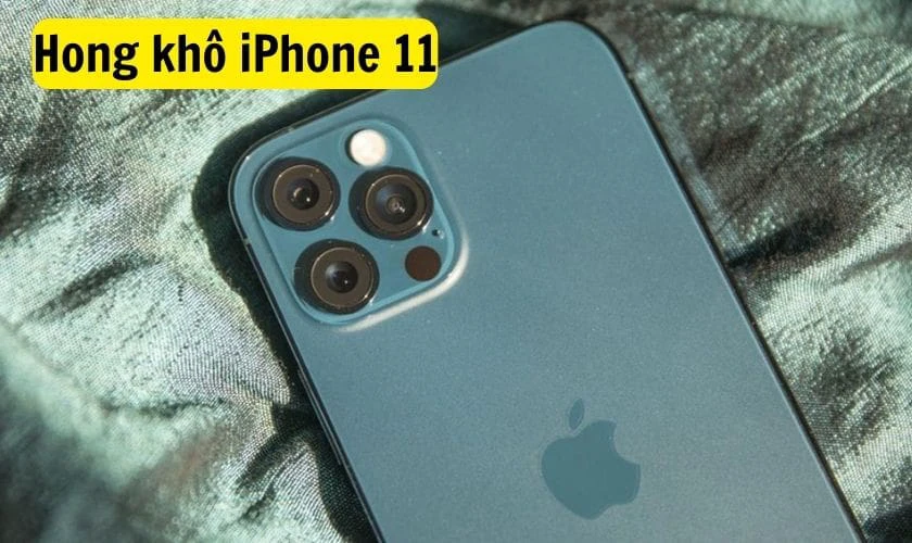 Hong khô iPhone 11 bị loạn cảm ứng