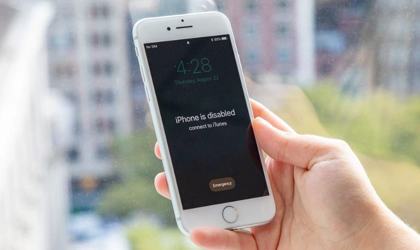 Dòng iPhone nào có cảm biến vân tay