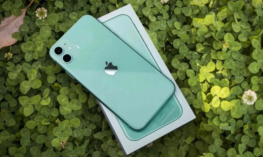 Cách chọn màu iPhone 11 theo mệnh