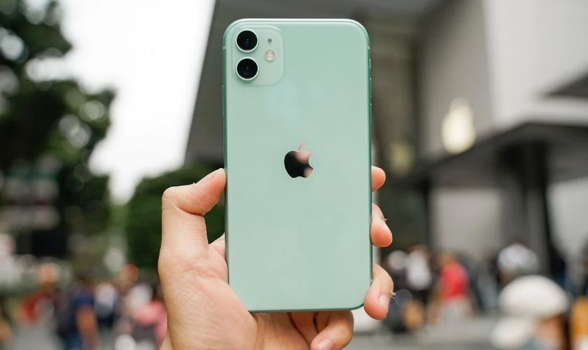 iPhone 11 màu xanh lá: tươi mới, khác biệt