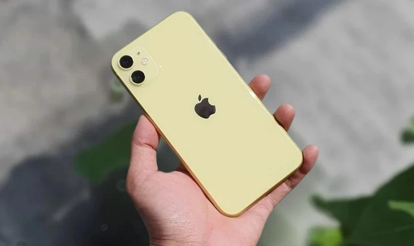 iPhone 11 màu vàng: năng động, cá tính