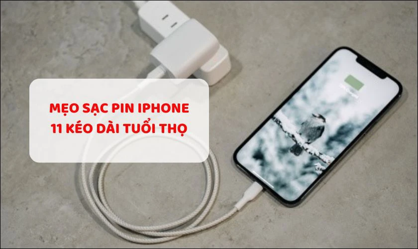Mẹo sạc pin iPhone 11 kéo dài tuổi thọ iFan nên biết