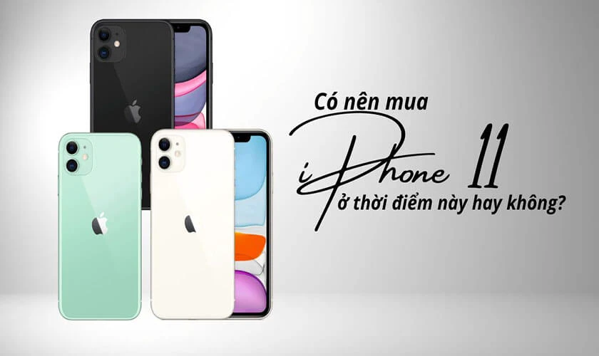 iPhone 11 ra mắt năm bao nhiêu? Đến nay có còn đáng mua?