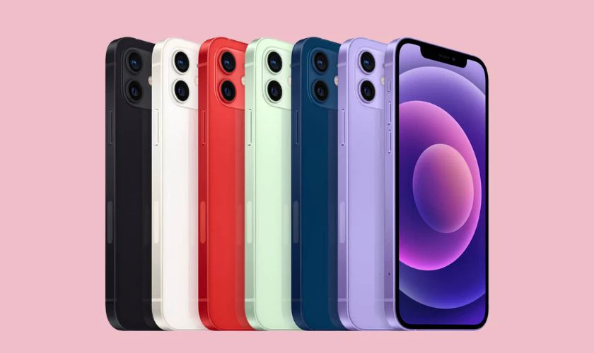 iPhone 12 có màu hồng không
