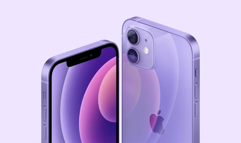 iPhone 12 có màu tím không
