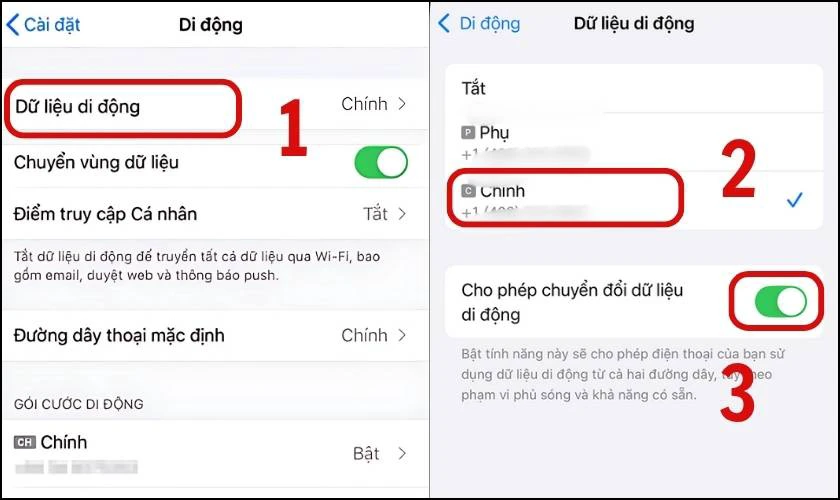 Cho phép chuyển đổi dữ liệu di động