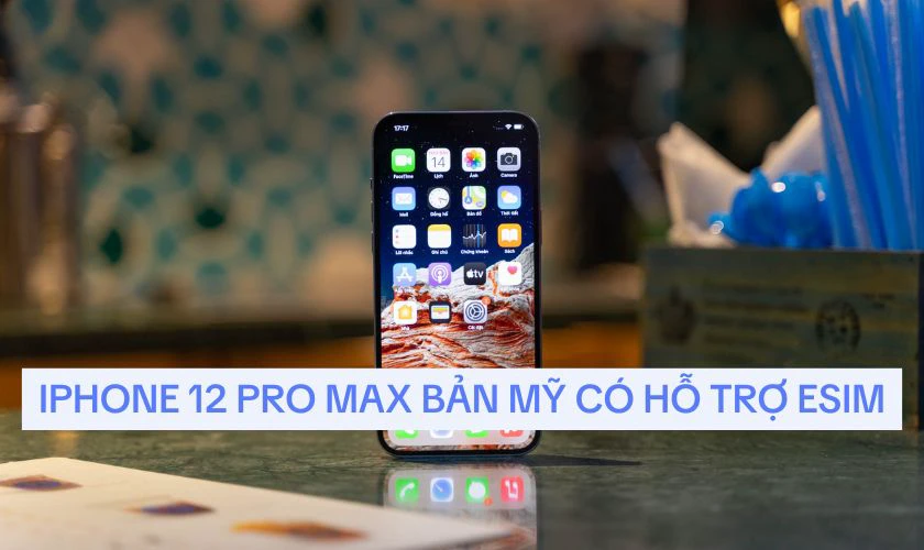 iPhone 12 Pro Max bản Mỹ có eSIM không?