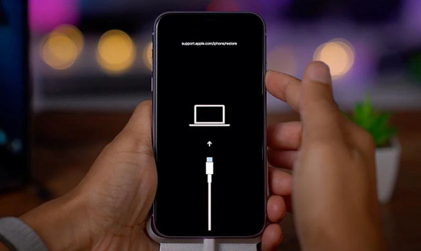 Nhấn giữ nút nguồn cho đến khi xuất hiện logo cáp Lightning và biểu tượng máy tính