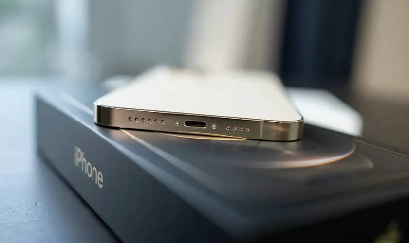 iPhone 12 Pro Max có lỗ cắm tai nghe không?
