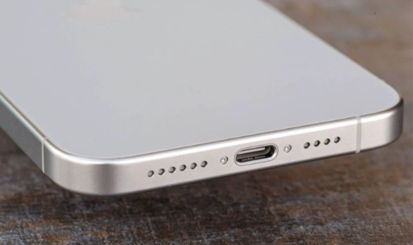 iPhone 12 Pro Max có loa kép không?