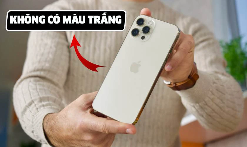 iPhone 12 Pro Max có màu trắng không?