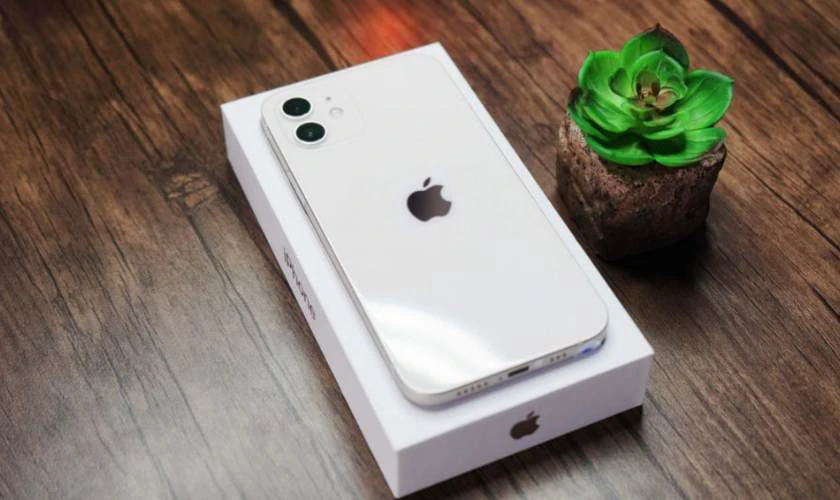 Các dòng iPhone có màu trắng