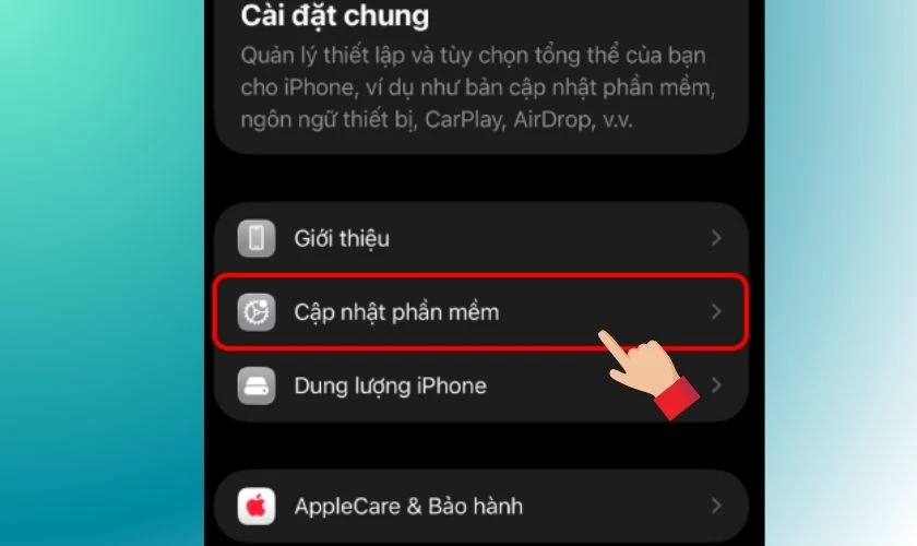 Trong mục Cài đặt chung, bạn chọn Cập nhật phần mềm