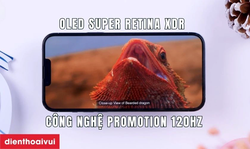 iPhone 13 Pro Max 1TB sở hữu tấm nền OLED Super Retina XDR