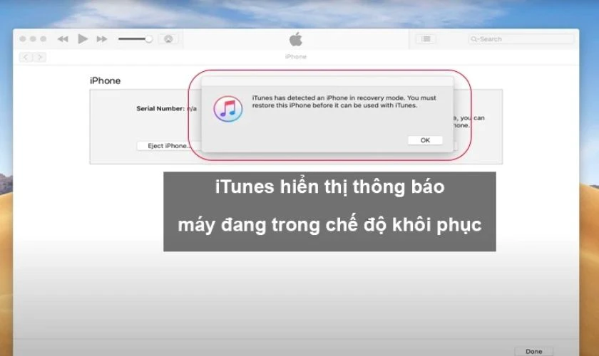 Hướng dẫn đưa về DFU Mode khi iPhone 13 Pro Max bị trắng màn hình