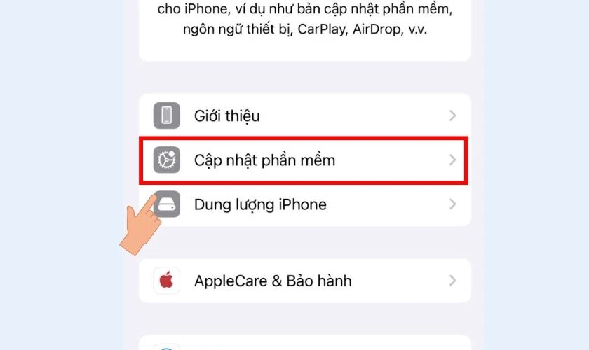 Chọn mục Cập nhật phần mềm