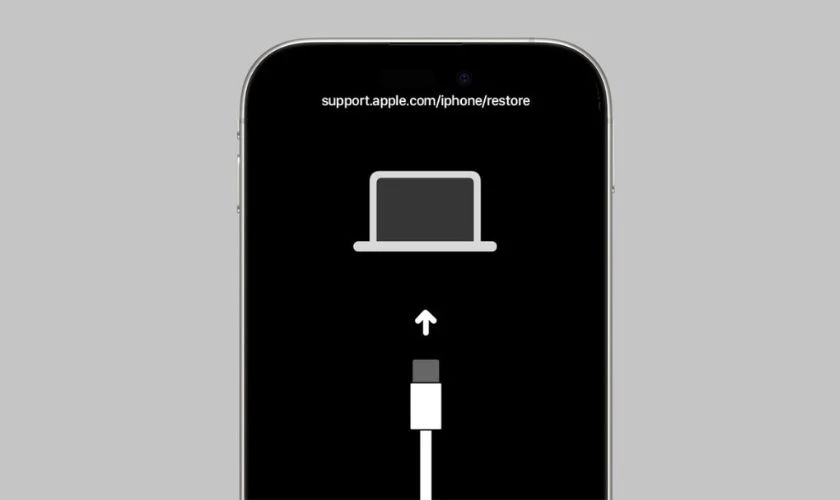 Kết nối với máy tính và khôi phục bằng iTunes/Finder
