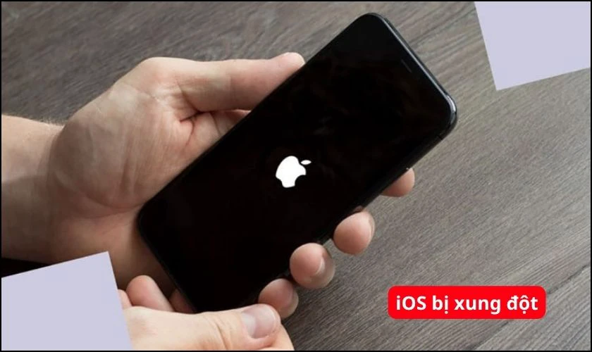 Lỗi phần mềm hoặc iOS bị xung đột