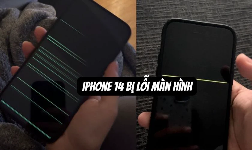 iPhone 14 có bị lỗi màn hình không?