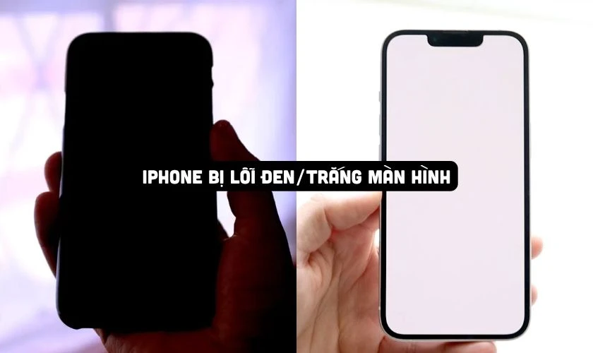 iPhone 14 bị đen/trắng màn hình