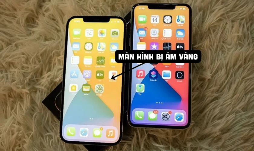 iPhone 14 bị ám vàng màn hình