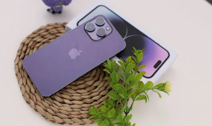 Người dùng tại Việt Nam nên chọn iPhone 14 Plus bản nào?
