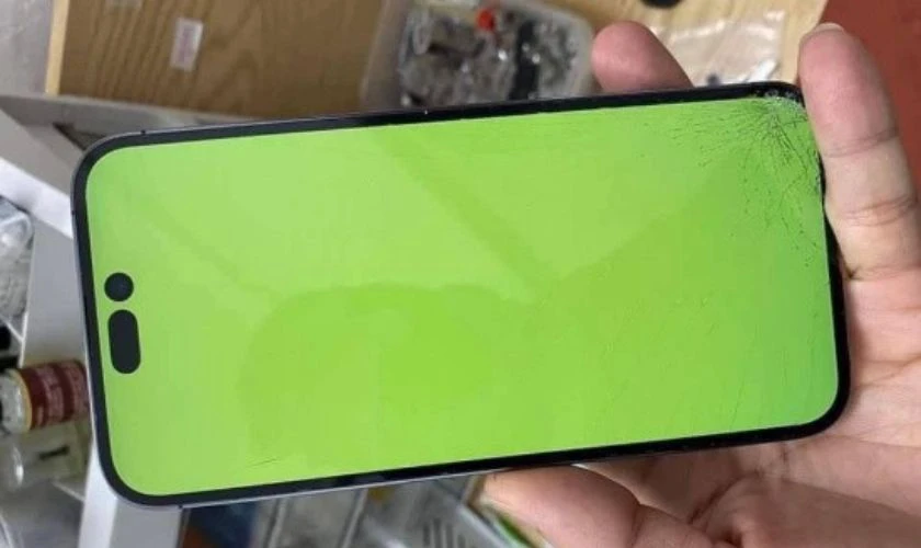 iPhone 14 Pro có bị xanh màn hình không 2025?
