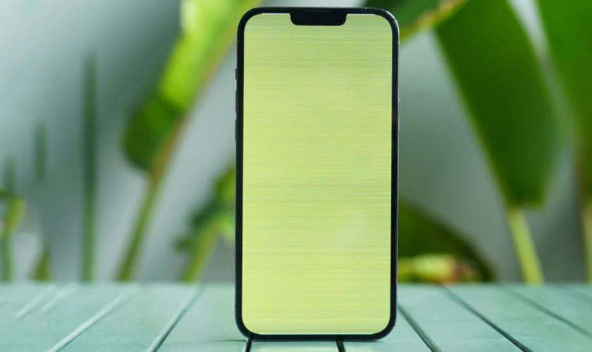 Lỗi phần cứng – hỏng tấm nền OLED hoặc socket kết nối