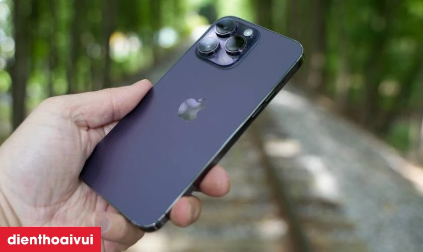 Thiết kế sang trọng c&ugrave;ng độ bền vượt trội