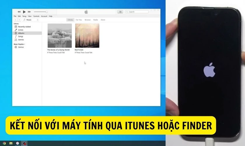 Kết nối với máy tính qua iTunes hoặc Finder để kiểm tra