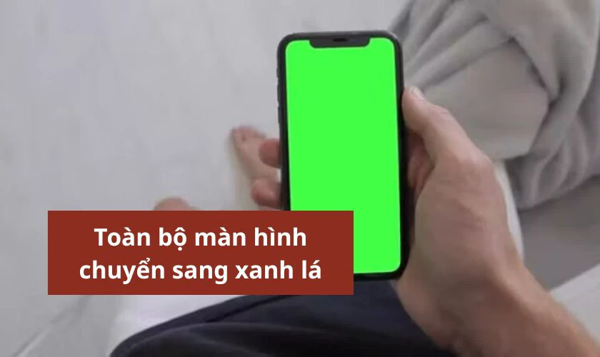 iPhone 14 Pro Max bị lỗi màn hình xanh là gì?