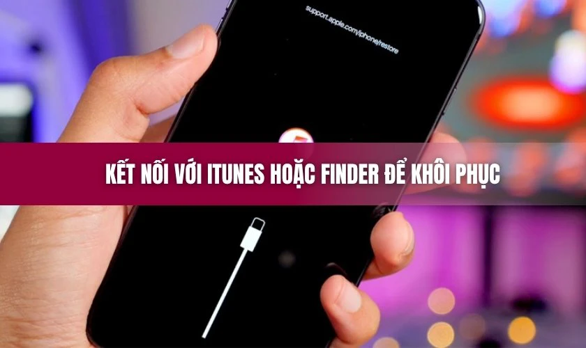Kết nối với iTunes hoặc Finder để khôi phục