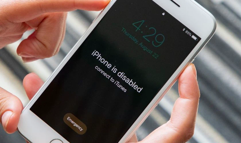 Dấu hiệu iPhone 14 Pro Max bị vô hiệu hóa