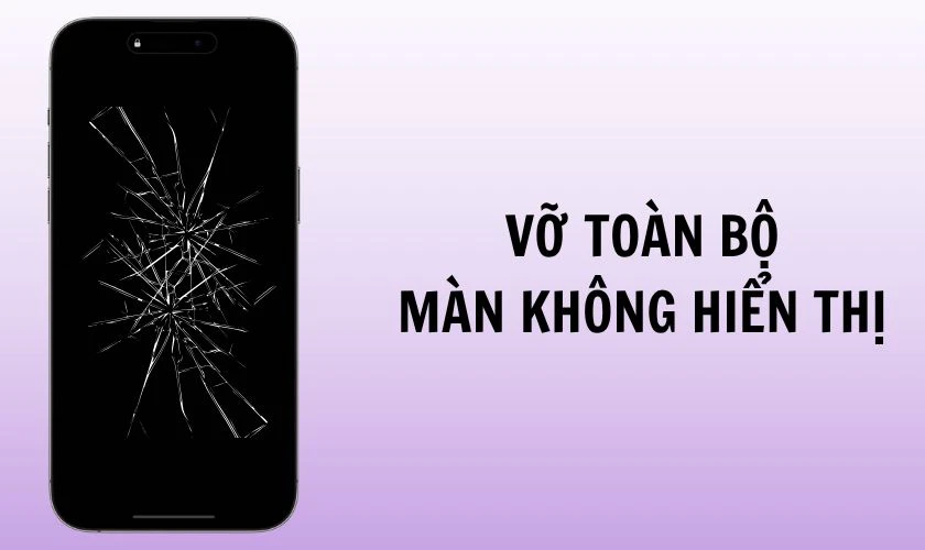 Vỡ toàn bộ, màn không hiển thị hình ảnh