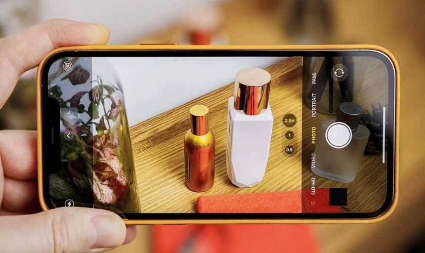 iPhone 14 Pro Max chụp ảnh bị vàng là tình trạng gì?