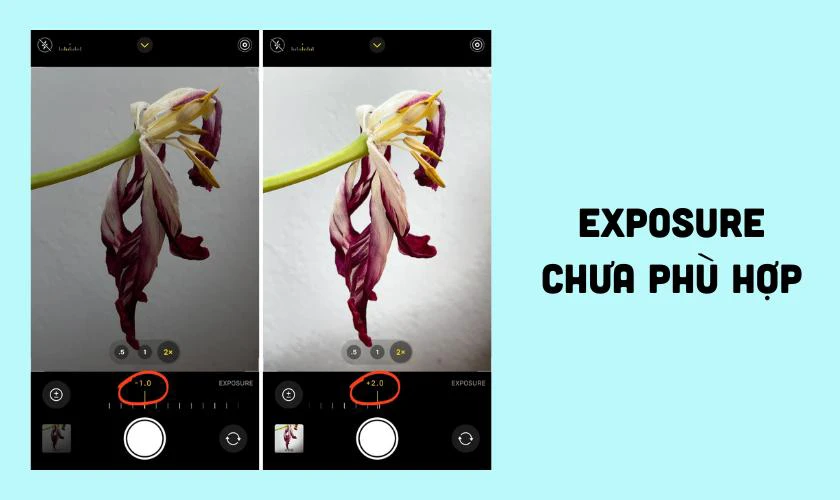 Tại sao iPhone 15 Pro Max chụp ảnh bị tối?